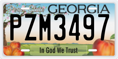 GA license plate PZM3497