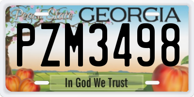 GA license plate PZM3498