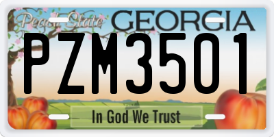 GA license plate PZM3501