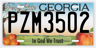 GA license plate PZM3502