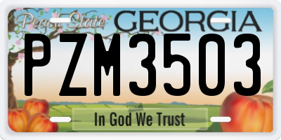 GA license plate PZM3503