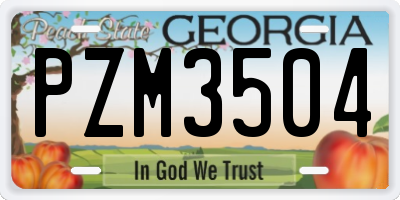 GA license plate PZM3504