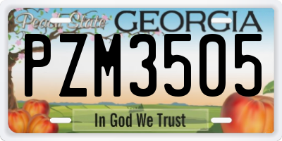 GA license plate PZM3505
