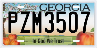 GA license plate PZM3507