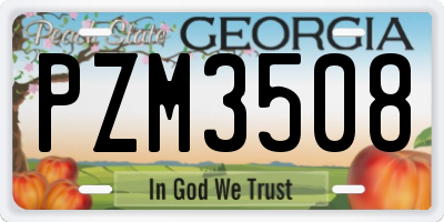 GA license plate PZM3508