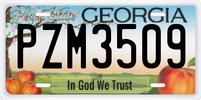 GA license plate PZM3509