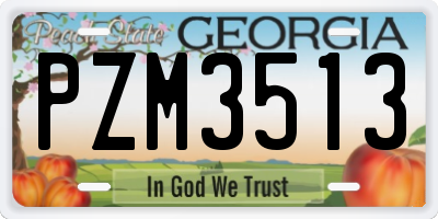 GA license plate PZM3513