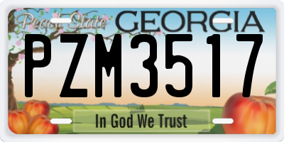GA license plate PZM3517