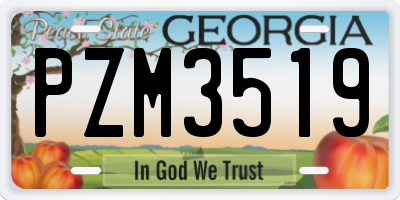 GA license plate PZM3519