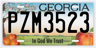 GA license plate PZM3523