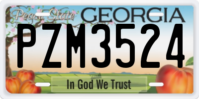 GA license plate PZM3524