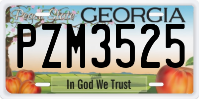 GA license plate PZM3525