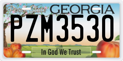 GA license plate PZM3530