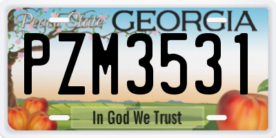 GA license plate PZM3531