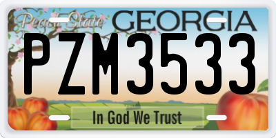 GA license plate PZM3533