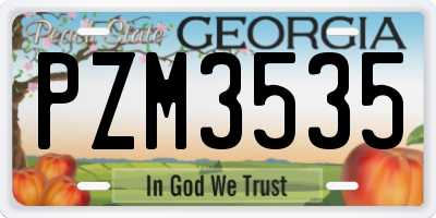 GA license plate PZM3535