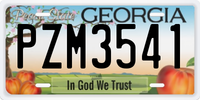 GA license plate PZM3541
