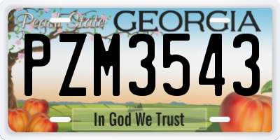GA license plate PZM3543