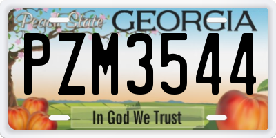 GA license plate PZM3544