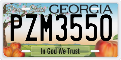 GA license plate PZM3550