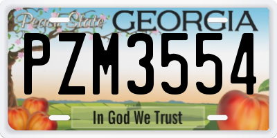 GA license plate PZM3554