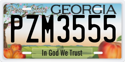 GA license plate PZM3555