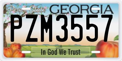 GA license plate PZM3557
