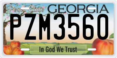 GA license plate PZM3560