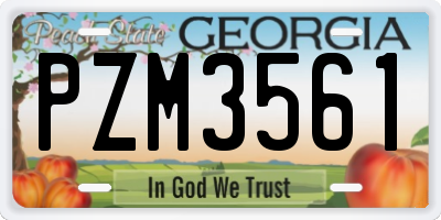 GA license plate PZM3561