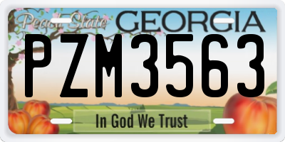 GA license plate PZM3563