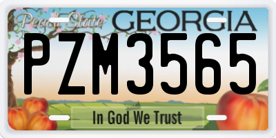 GA license plate PZM3565