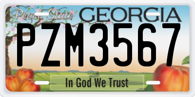 GA license plate PZM3567
