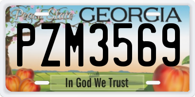 GA license plate PZM3569