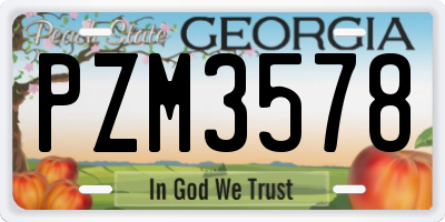 GA license plate PZM3578