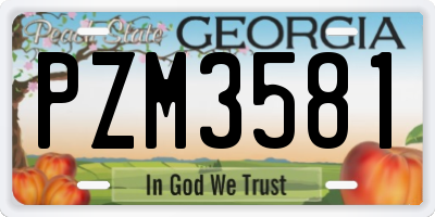 GA license plate PZM3581