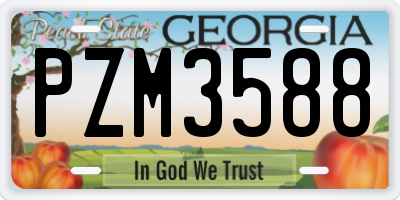 GA license plate PZM3588