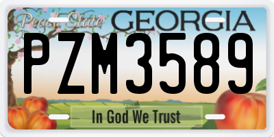 GA license plate PZM3589
