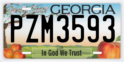GA license plate PZM3593