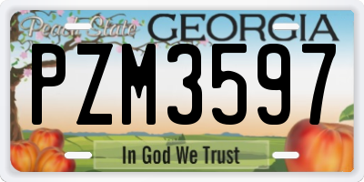 GA license plate PZM3597