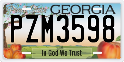 GA license plate PZM3598