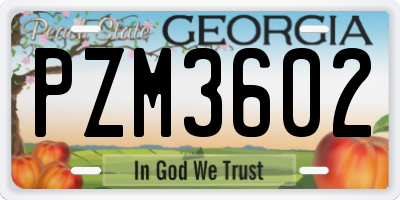GA license plate PZM3602