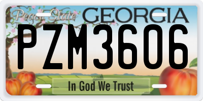 GA license plate PZM3606