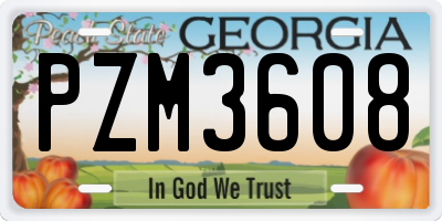 GA license plate PZM3608
