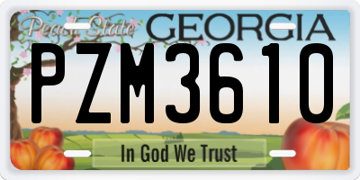 GA license plate PZM3610
