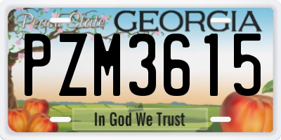 GA license plate PZM3615