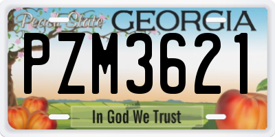 GA license plate PZM3621