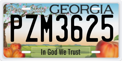 GA license plate PZM3625