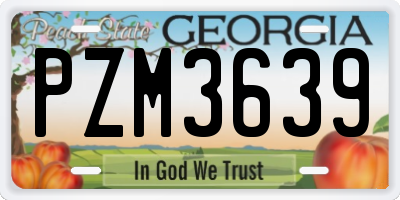 GA license plate PZM3639