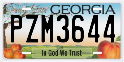 GA license plate PZM3644