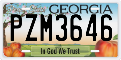 GA license plate PZM3646